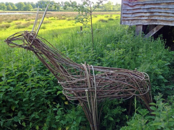 Stag sculpture located in the wetlands reserve courtesy of Fraser's craftwork.